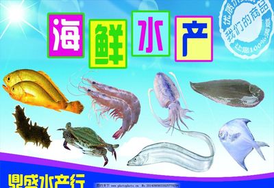 海鮮水產 從海洋到餐桌的珍饈美味