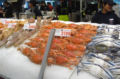 2015年悉尼水產品市場回顧 人潮涌動的海鮮盛宴