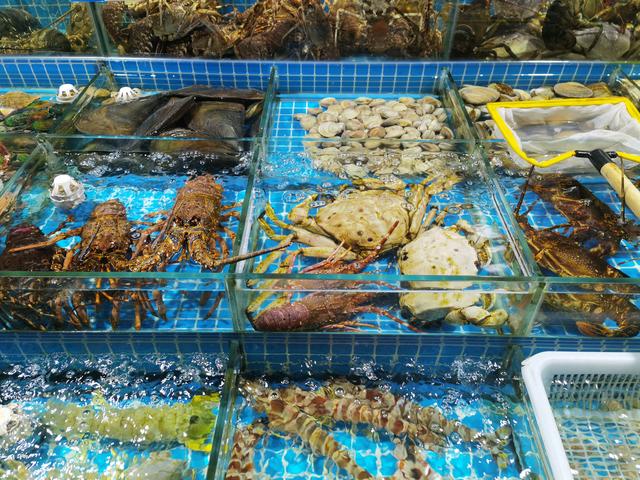 高端水產品價格探秘 為何一些水產售價如此昂貴？