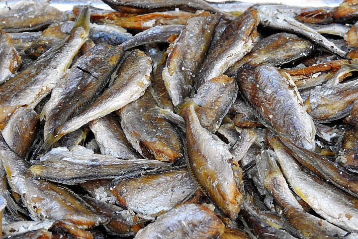 海鮮水產 營養與美味的海洋饋贈