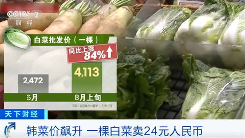 韓國民眾叫苦不迭 菜價水產品價格一路飆升，生活壓力陡增