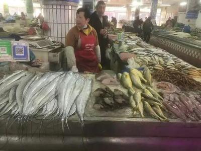 浙江水產市場現“黃金海鮮” 一斤飆至五百元，朋友圈里的價格驚嘆號