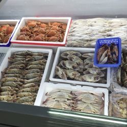 北京西南郊肉類水產品市場全攻略 電話、地址、價格與營業時間